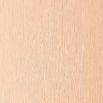 Winsor & Newton Winton Yağlı Boya 37 ml Cadmium Orange Hue 090
