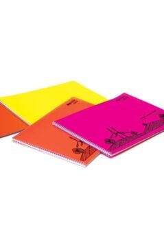 Mynote Resim Defteri Plastik Kapak Spiralli 25X35 25 YAP.