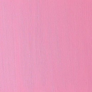 Winsor & Newton Winton Yağlı Boya 37 ml Permanent Rose 502
