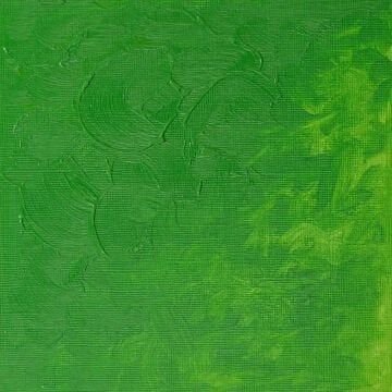 Winsor & Newton Winton Yağlı Boya 37 ml Permanent Green Light 483