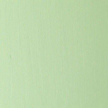 Winsor & Newton Winton Yağlı Boya 37 ml Permanent Green Light 483
