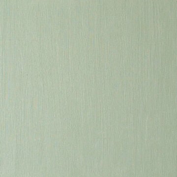 Winsor & Newton Winton Yağlı Boya 37 ml Oxide of Chromium 459