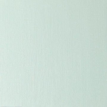 Winsor & Newton Winton Yağlı Boya 37 ml Terre Verte 637