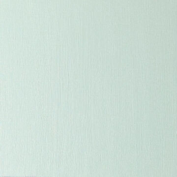 Winsor & Newton Winton Yağlı Boya 37 ml Terre Verte 637