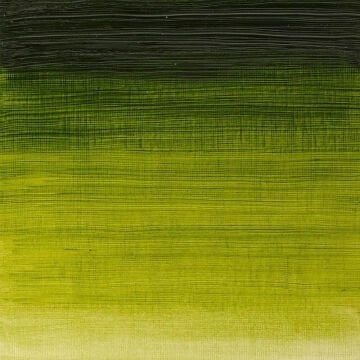 Winsor & Newton Winton Yağlı Boya 37 ml Sap Green 599