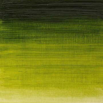 Winsor & Newton Winton Yağlı Boya 37 ml Sap Green 599