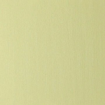 Winsor & Newton Winton Yağlı Boya 37 ml Sap Green 599