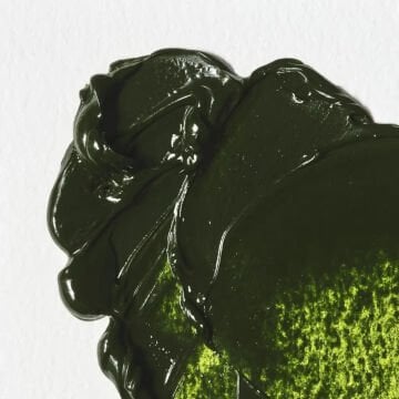 Winsor & Newton Winton Yağlı Boya 37 ml Sap Green 599