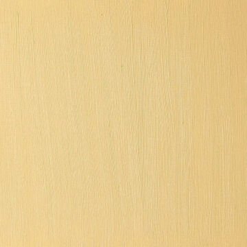 Winsor & Newton Winton Yağlı Boya 37 ml Yellow Ochre 744