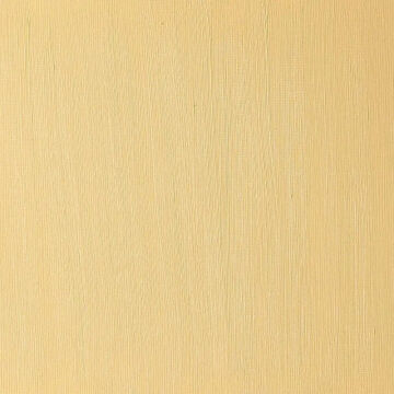 Winsor & Newton Winton Yağlı Boya 37 ml Yellow Ochre 744