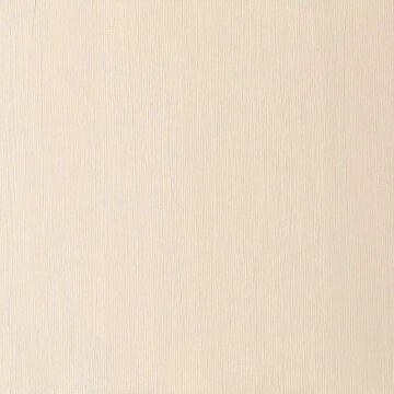 Winsor & Newton Winton Yağlı Boya 37 ml Raw Sienna 552