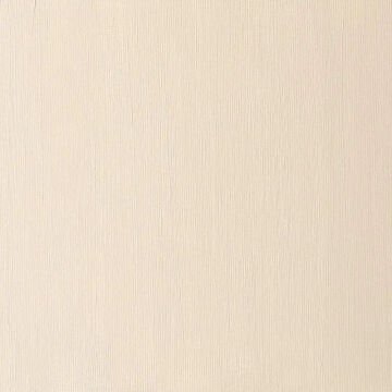 Winsor & Newton Winton Yağlı Boya 37 ml Raw Sienna 552