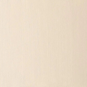 Winsor & Newton Winton Yağlı Boya 37 ml Raw Sienna 552