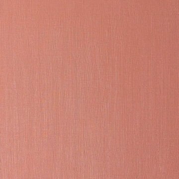 Winsor & Newton Winton Yağlı Boya 37 ml Light Red 362