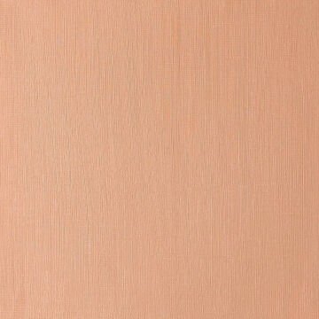 Winsor & Newton Winton Yağlı Boya 37 ml Burnt Sienna 074