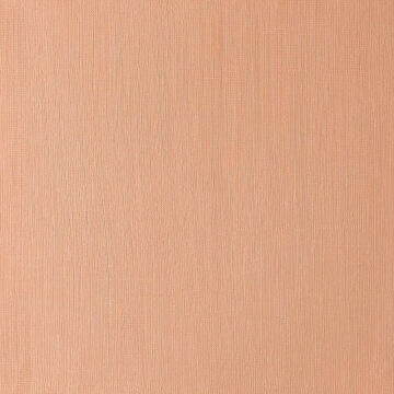 Winsor & Newton Winton Yağlı Boya 37 ml Burnt Sienna 074