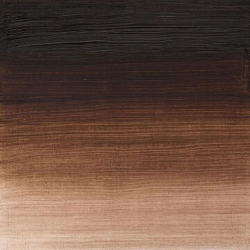 Winsor & Newton Winton Yağlı Boya 37 ml Vandyke Brown 676