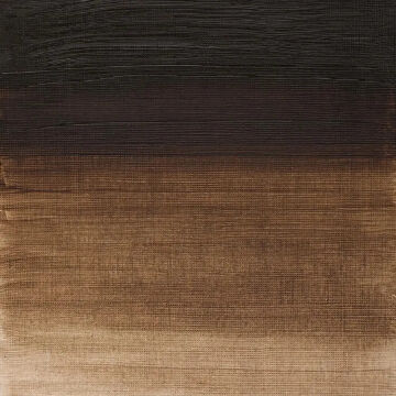 Winsor & Newton Winton Yağlı Boya 37 ml Raw Umber 554