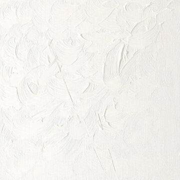 Winsor & Newton Winton Yağlı Boya 37 ml Zinc White 748