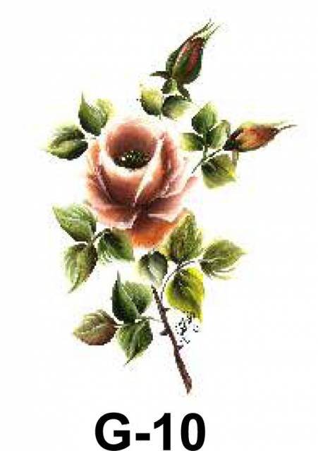 Cadence Hazır Transfer G-10 17x25