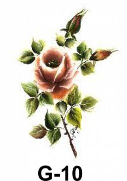 Cadence Hazır Transfer G-10 17x25