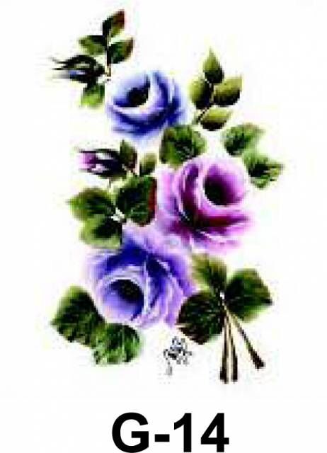 Cadence Hazır Transfer G-14 17x25