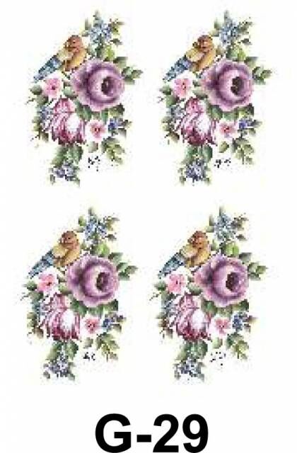 Cadence Hazır Transfer G-29 17x25