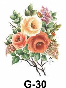 Cadence Hazır Transfer G-30 17x25