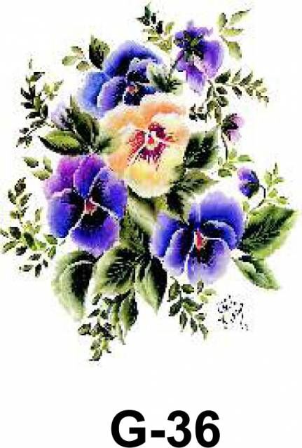 Cadence Hazır Transfer G-36 17x25