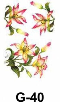 Cadence Hazır Transfer G-40 17x25