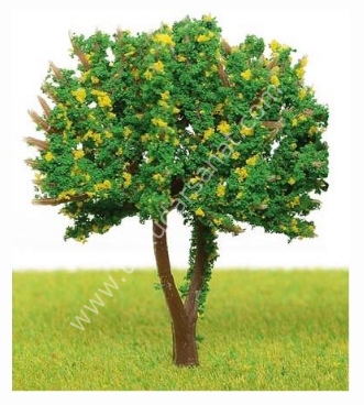 AĞAÇ - CT-6-11-60 - ÖLÇÜ: 1/100 - 2'Lİ PK.