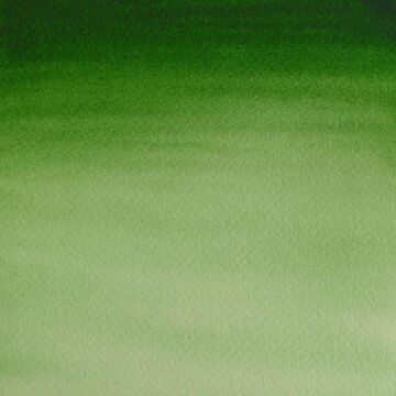 Winsor & Newton Cotman Yarım Tablet Suluboya Hooker's Green Light 314