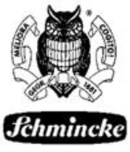 Schmincke Aerocolor 50 604 Aero Lack Parlak Vernik 125ml