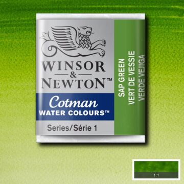 Winsor & Newton Cotman Yarım Tablet Suluboya Sap Green 599