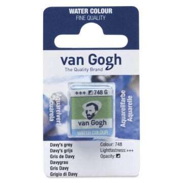 Van Gogh Yarım Tablet Suluboya Davy's Grey 748