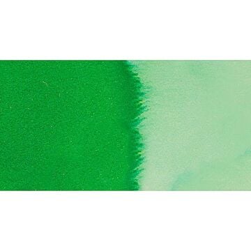 Ecoline Liquid Watercolour Sıvı Suluboya 30 ml Green 600