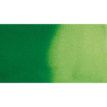 Ecoline Liquid Watercolour Sıvı Suluboya 30 ml Forest Green 656