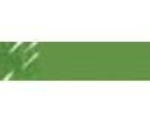 Lyra Aqua Brush Duo Grafik Çizim Kalemi Moss Green 068