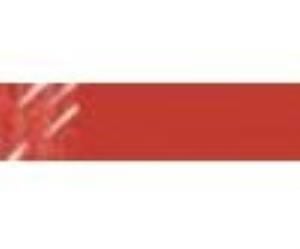 Lyra Aqua Brush Duo Grafik Çizim Kalemi Venetian Red 090