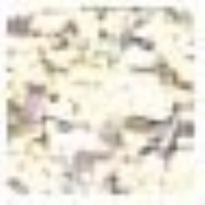 Cadence Granit Boya 120ml 707 Pamukkale