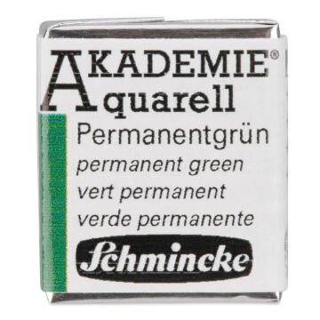 Schmincke Akademie Yarım Tablet Suluboya Permanent Green 553