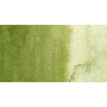 Schmincke Akademie Yarım Tablet Suluboya Olive Green Yellowish 554