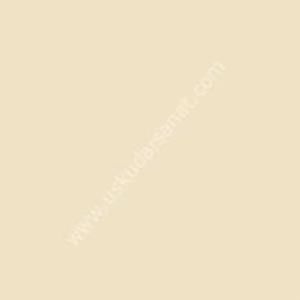 W.Newton BrushMarker Grafik Kalemi Champagne Y217