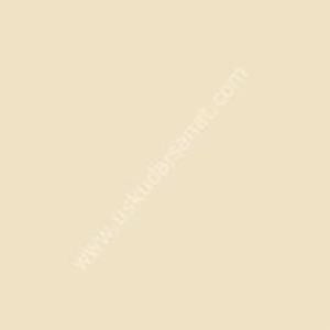 W.Newton BrushMarker Grafik Kalemi Champagne Y217