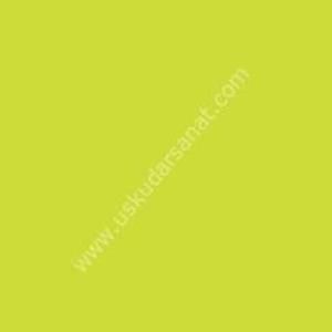 W.Newton BrushMarker Grafik Kalemi Lime Green G178