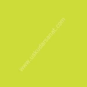 W.Newton BrushMarker Grafik Kalemi Lime Green G178