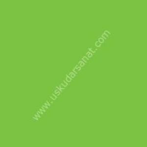 W.Newton BrushMarker Grafik Kalemi Bright Green G267