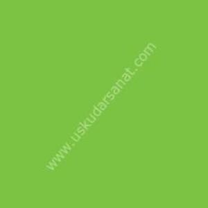 W.Newton BrushMarker Grafik Kalemi Bright Green G267