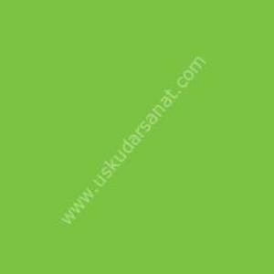 W.Newton BrushMarker Grafik Kalemi Bright Green G267