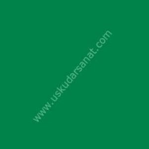 W.Newton BrushMarker Grafik Kalemi Lush Green G756